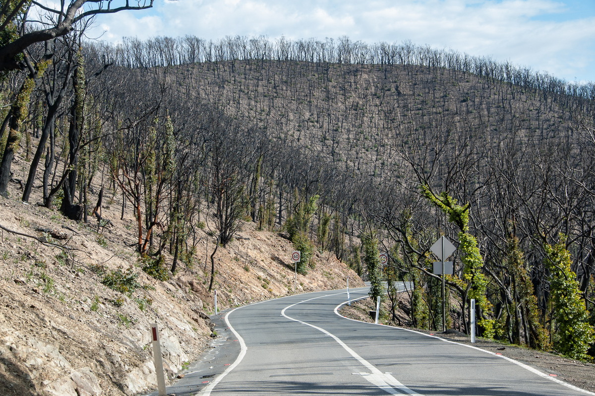 favourites michael_bath : Kinglake, VIC   20 August 2009