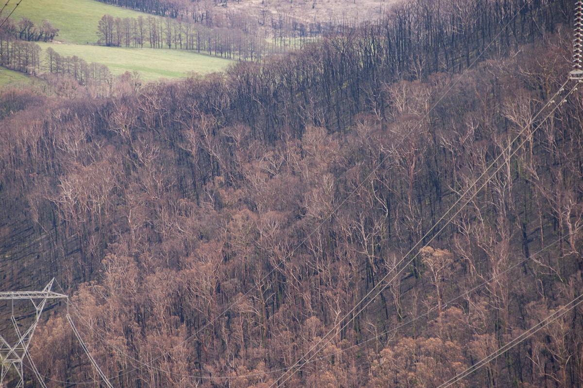 bushfire wild_fire : Kinglake, VIC   20 August 2009