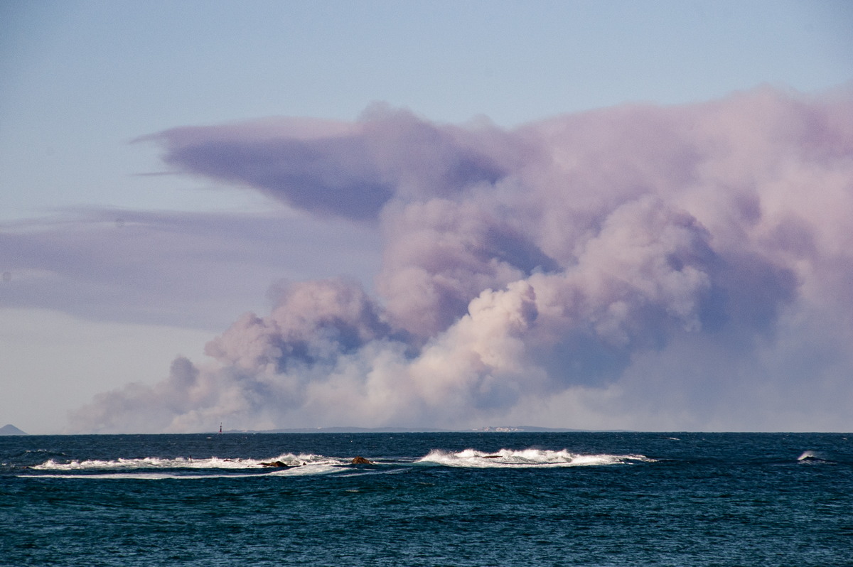 cumulus pyrocumulus : Newcastle, NSW   30 August 2009