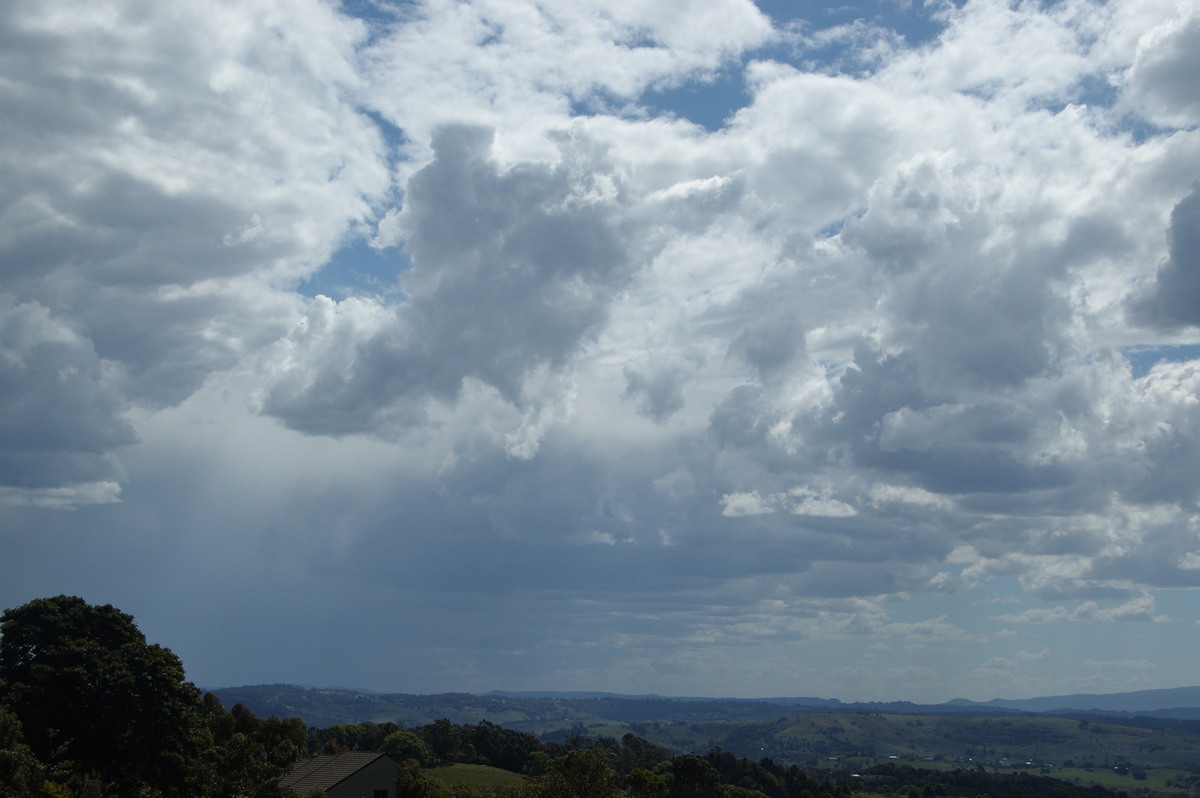 cumulus congestus : McLeans Ridges, NSW   8 September 2009