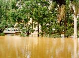 flood_pictures