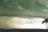 shelf_cloud