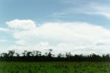 cumulonimbus_incus