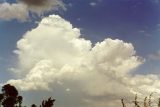 cumulonimbus_calvus