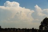 cumulonimbus_incus