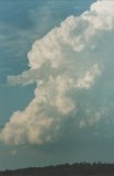 cumulonimbus_calvus