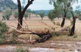 storm_damage