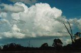 Australian Severe Weather Picture