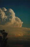 cumulonimbus_incus