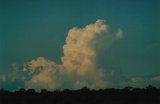 cumulonimbus_calvus