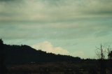 castellanus