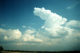 cumulonimbus_calvus