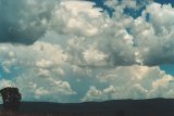 cumulonimbus_incus