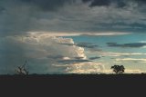 cumulonimbus_incus