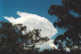 Australian Severe Weather Picture