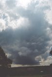 Comboyne 3:33pm