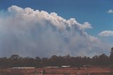 Australian Severe Weather Picture