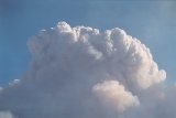 pyrocumulus