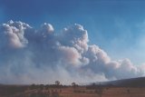 Australian Severe Weather Picture