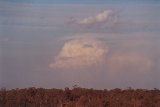 cumulonimbus_calvus