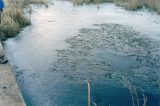 Purchase a poster or print of this weather photo