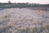 Purchase a poster or print of this weather photo