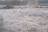 fog_mist_frost