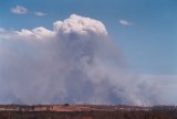 pyrocumulus