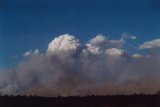 pyrocumulus