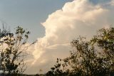 cumulonimbus_calvus