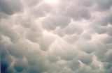 mammatus_cloud