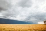 shelf_cloud