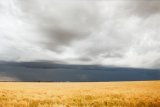 shelf_cloud