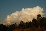 cumulonimbus_calvus