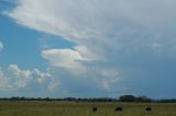 mammatus_cloud