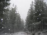 snow_pictures