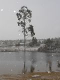 snow_pictures