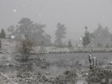 Purchase a poster or print of this weather photo