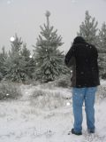 snow_pictures