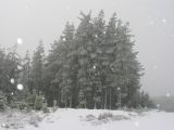 snow_pictures