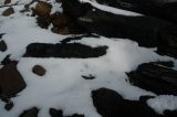 snow_pictures