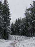 snow_pictures