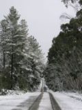 snow_pictures