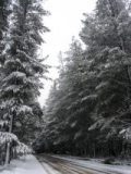 snow_pictures