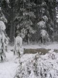 snow_pictures