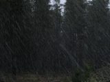 precipitation_rain