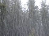 precipitation_rain