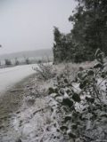 snow_pictures