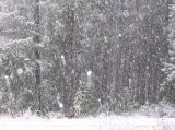 snow_pictures