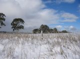 Purchase a poster or print of this weather photo